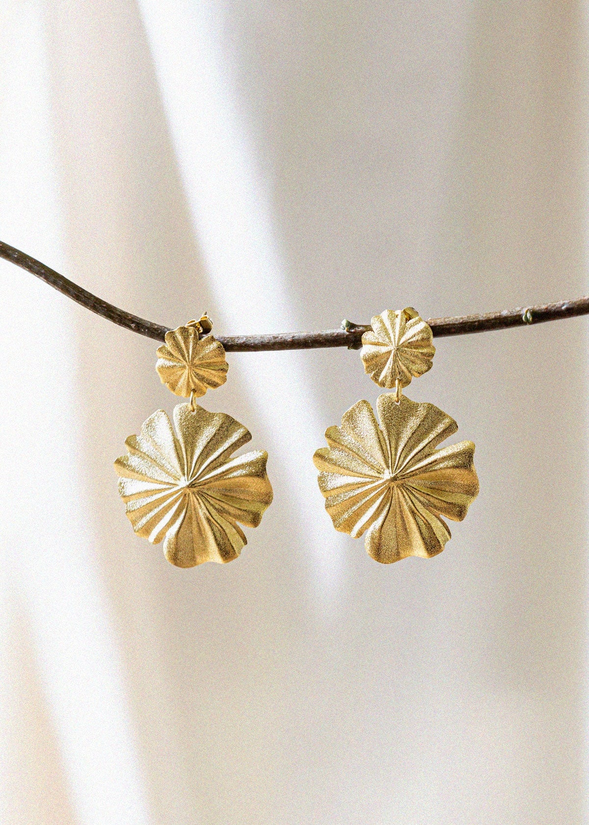 Image de diapositive